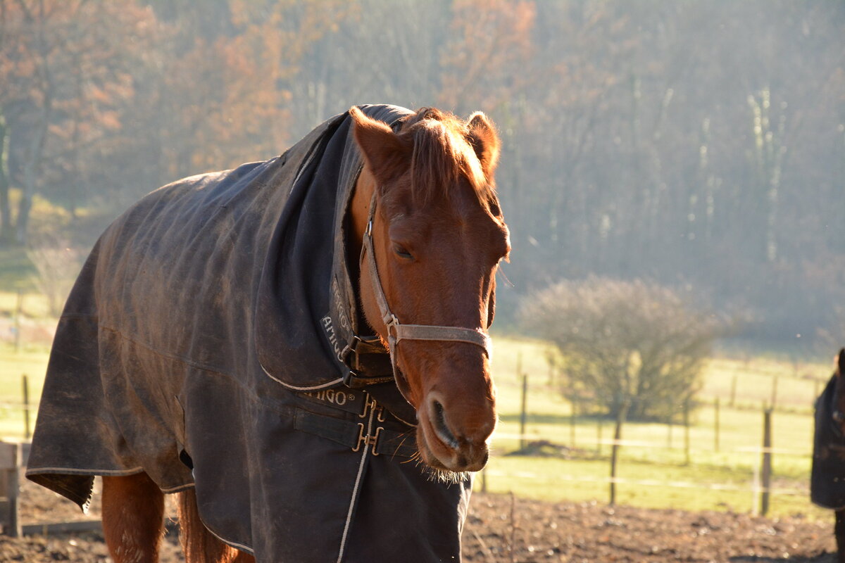 А есть ли возможность обойтись без этого?