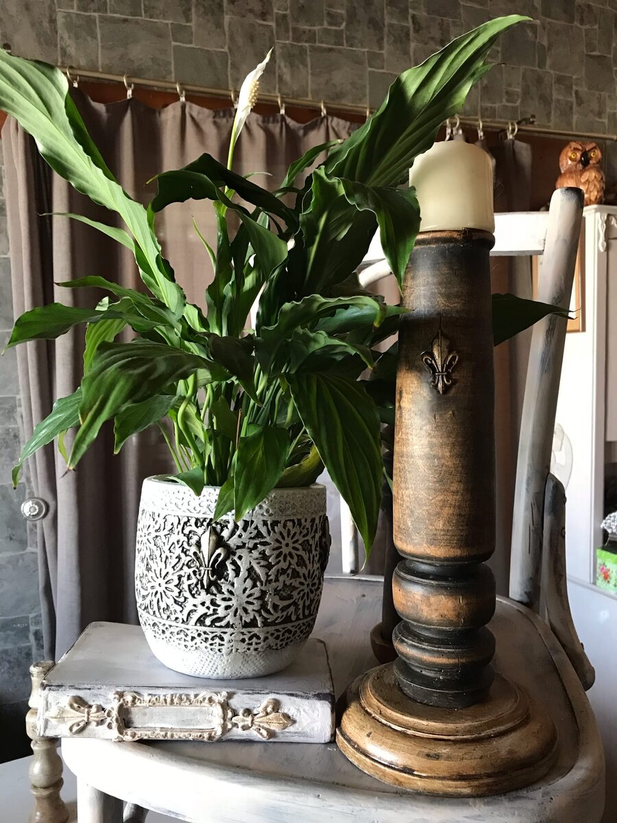 Вера окончательно решила, что не отпустит мужа