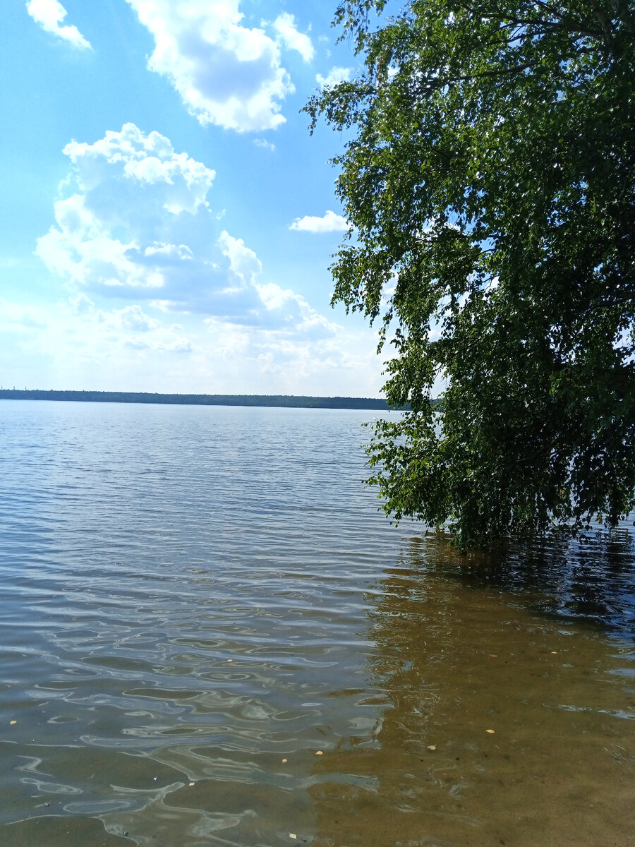 Любимое место отдыха от городского шума и суеты