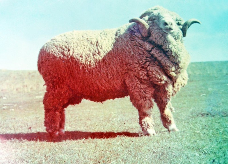 Вот так она выглядела...