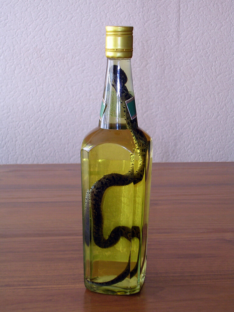 Настойка на змее. Змея в бутылке. Алкогольный напиток со змеей.