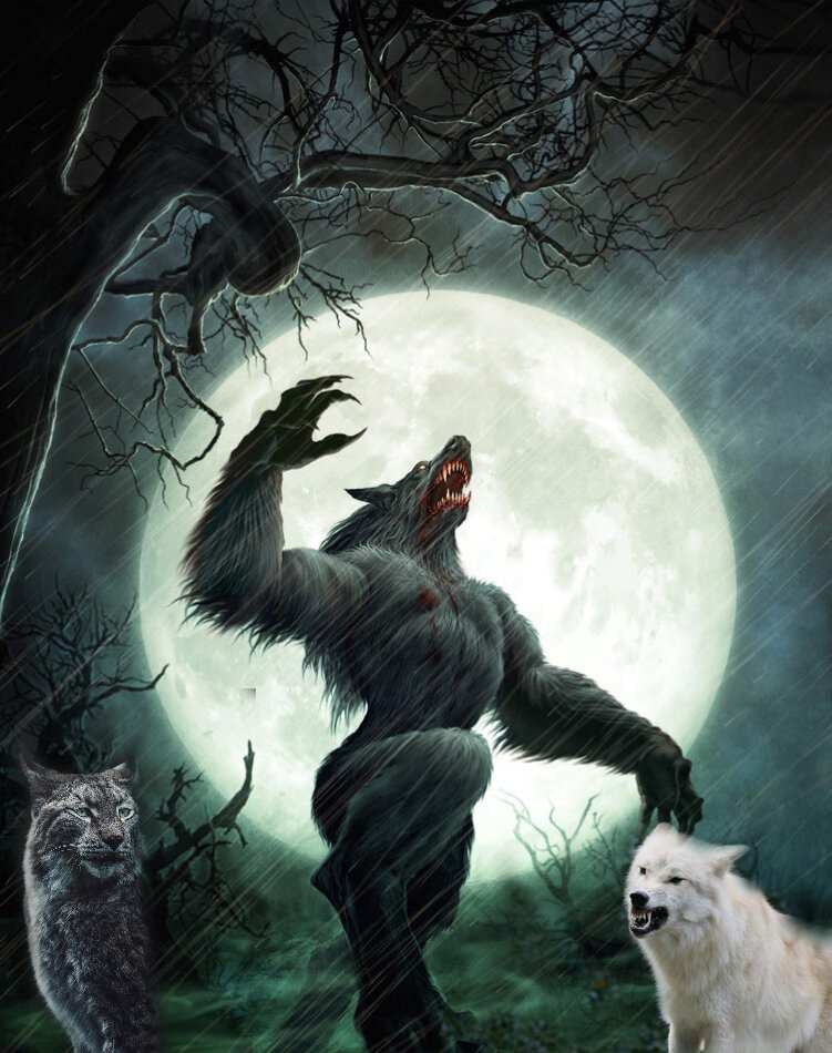 Фото взято из доступных источников интернета и обработано автором