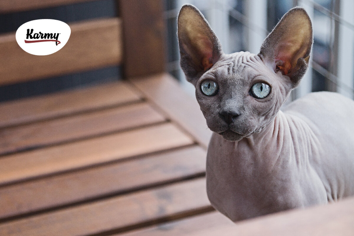 Авторское изображение с использованием картинки с фотостока "Unsplash"