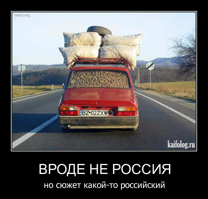 Французский учет?