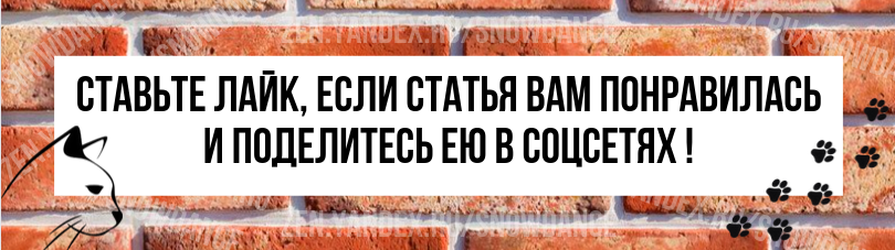 Как быстро привыкнуть к новому дому. Как быстро привыкнуть к новому дому