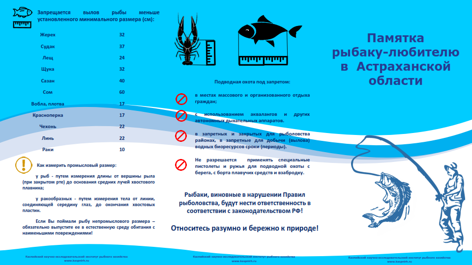 Памятка для рыбаков любителей в Астраханской области. Памятка для рыболовов любителей. Памятка рыбаку-любителю в Астраханской. Памятки для рыбаков. Нерестовый запрет астрахань