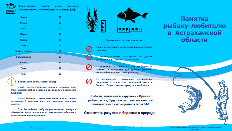 Памятка для рыбаков любителей в Астраханской области. Памятка для рыболовов любителей. Памятка рыбаку-любителю в Астраханской. Памятки для рыбаков. Нерестовый запрет свердловская