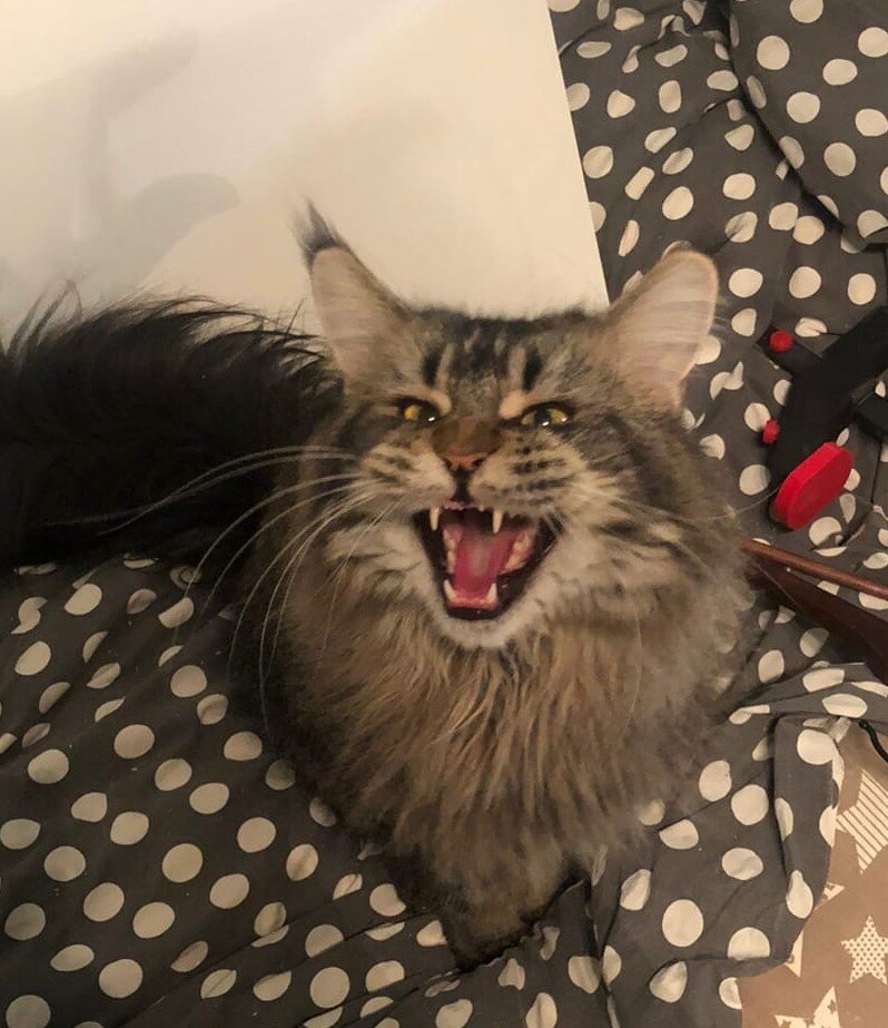 Фото из личного архива.