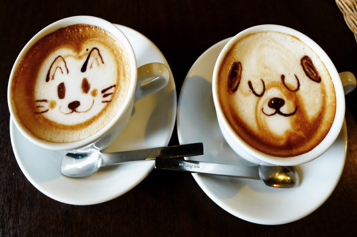 Кошечка и Медведь. (Картинка - mobile. alfa.coders.com.) 