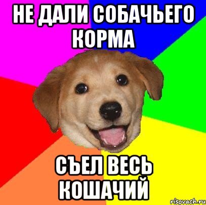 Собака подавилась кормом мем Какой корм для собаки сейчас стоит выбрать. Наш опыт Английский кокер-спаниель Р
