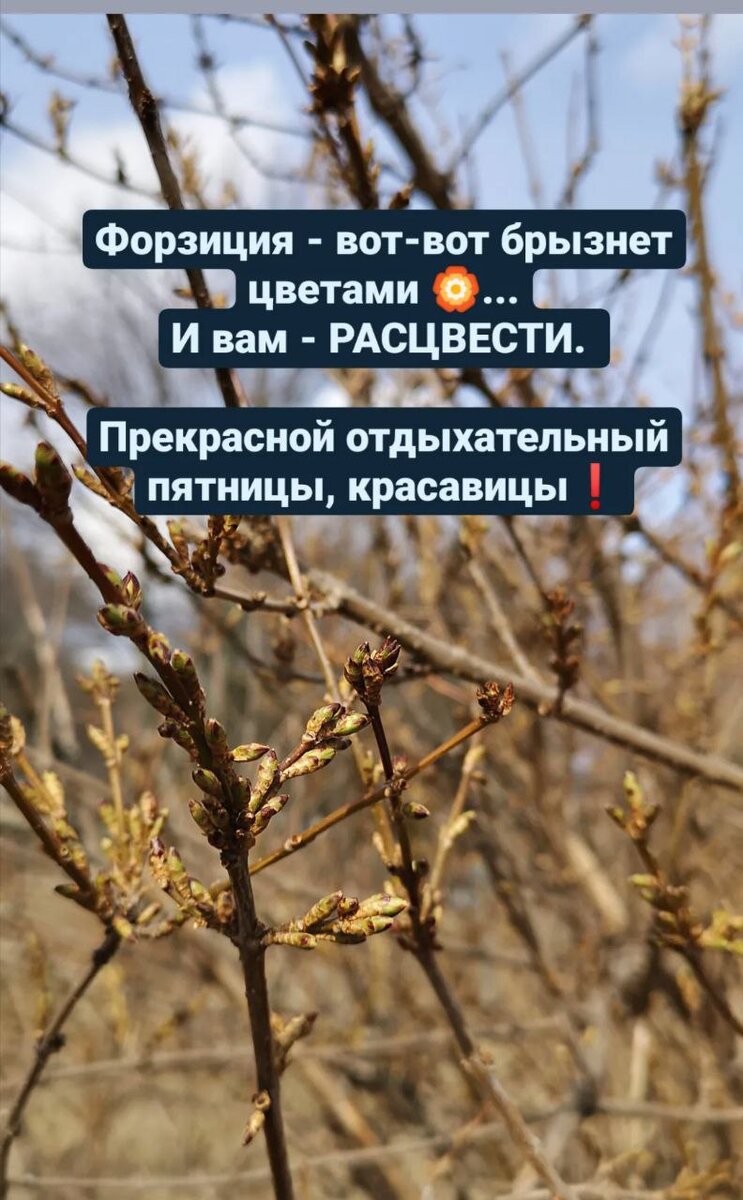 Совет Пятница 8 апреля. 🤔Приостановимся...Ненадолго- на денек! | Наталия  Нова l Браслеты Прогнозы | Дзен