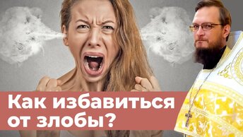 Как избавиться от злобы? Священник Антоний Русакевич