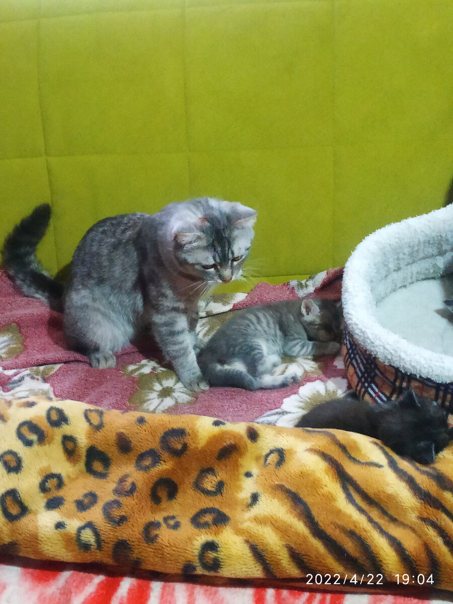 Папаня проверяет все ли спят)