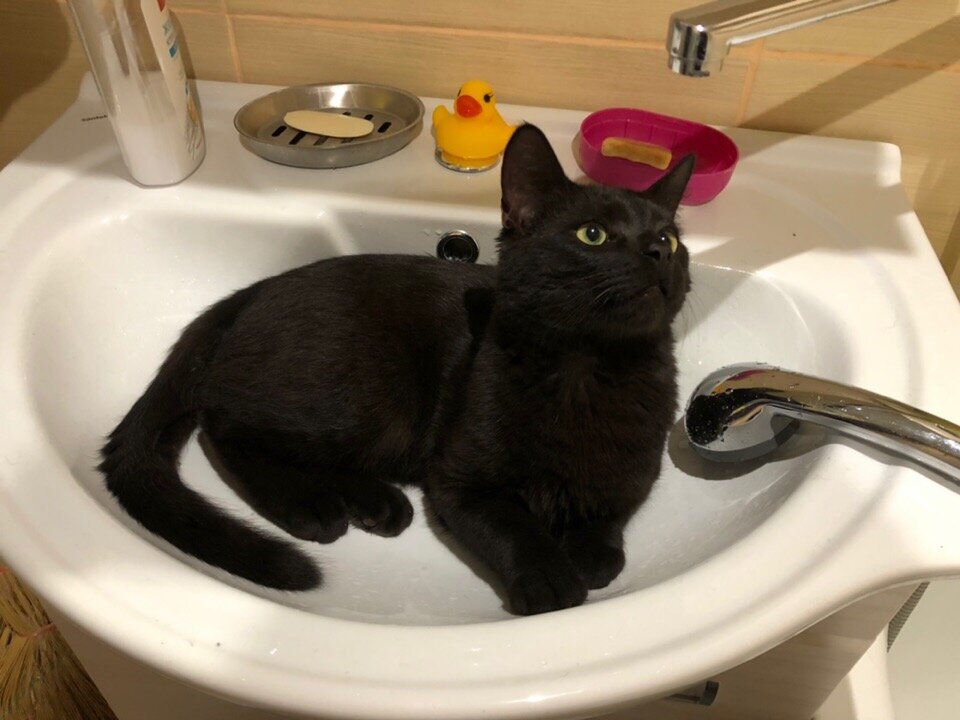 В режиме ожидания