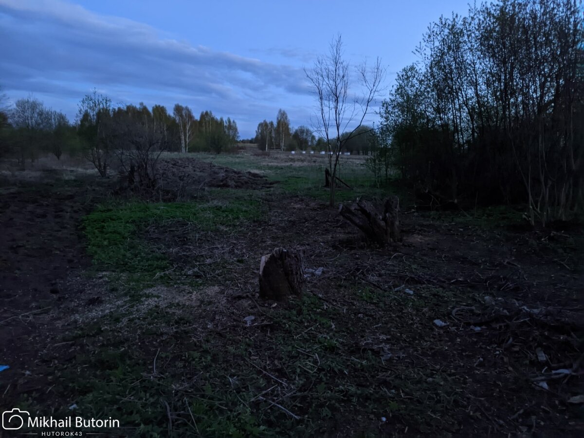 Старый сад около дома прадеда исчез | Вятский Хутор | Дзен