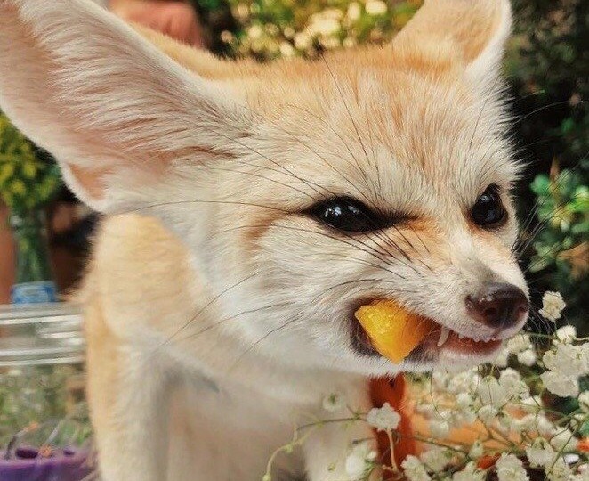 Морковь!Обожаю морковь...