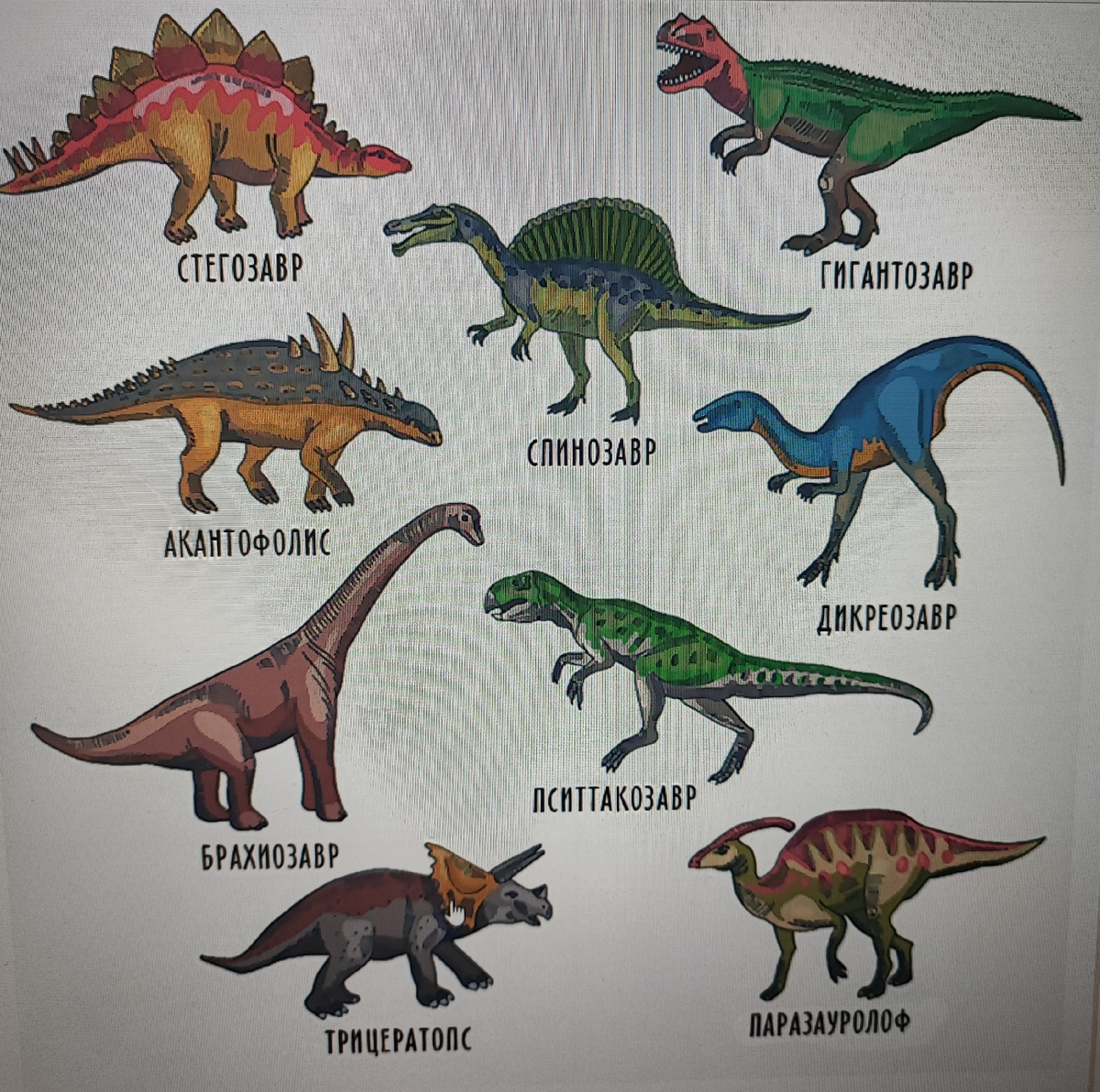 Динозавр из пластилина поэтапно (с фото) - статья из серии «Детский отдых»