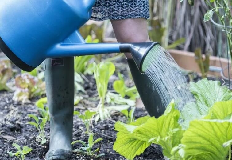 Ухаживаем за огородом