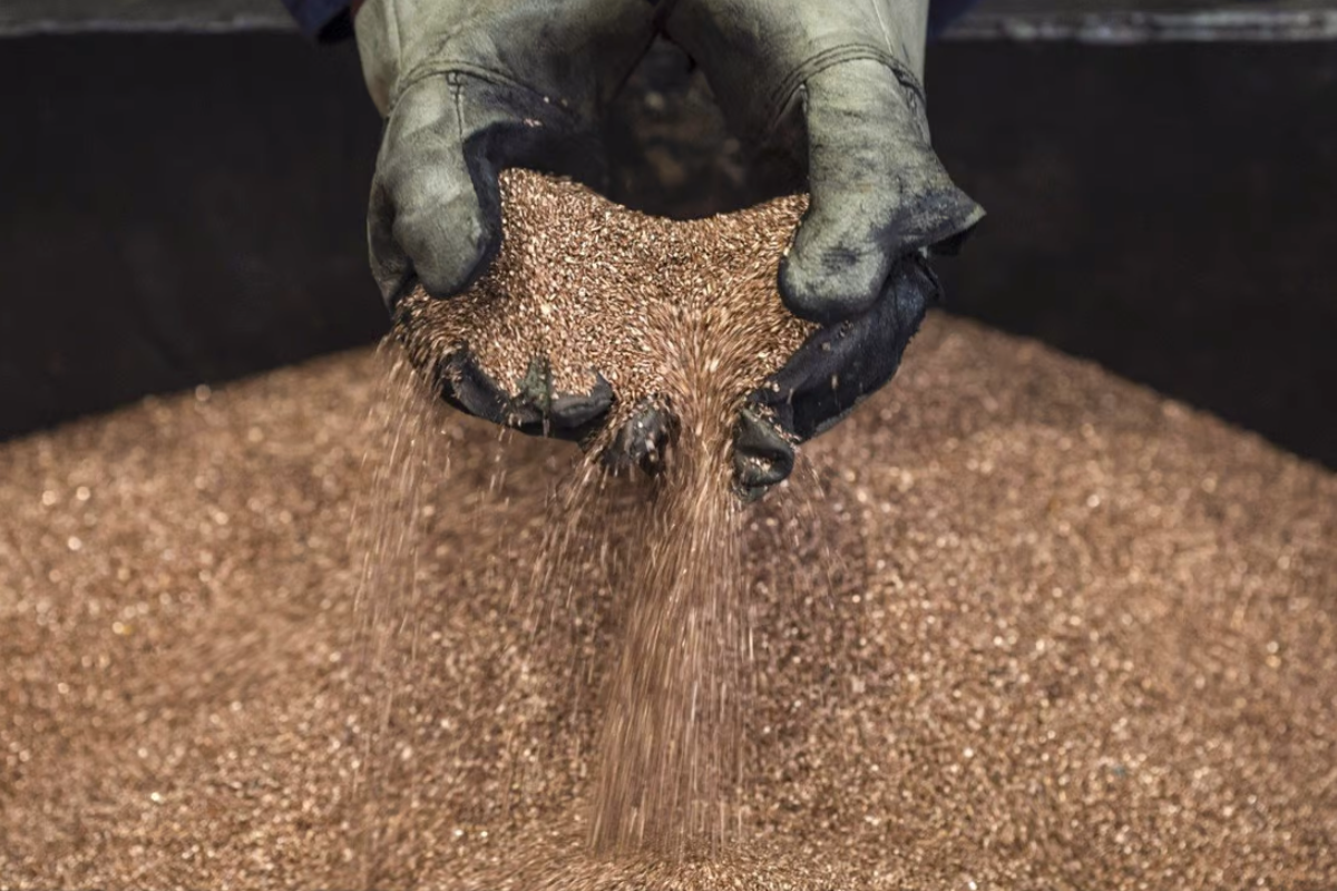 По данным International Copper Study Group, в среднем чистом электромобиле используется около 83 кг меди, что почти в четыре раза больше, чем в обычном автомобиле, и вдвое больше, чем в гибридной модели. Фото: Блумберг