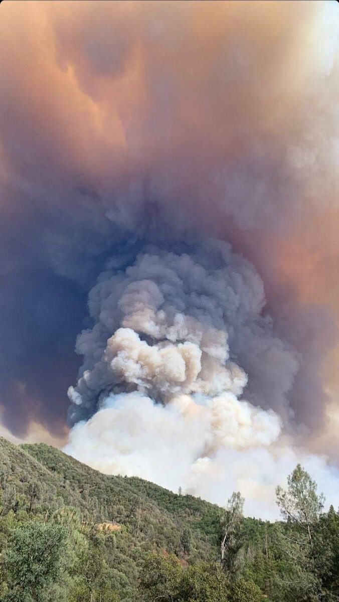    Источник фото: Twitter