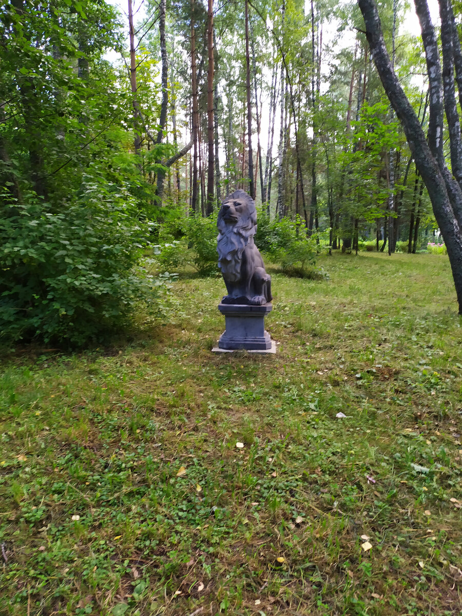 Лев в парке.