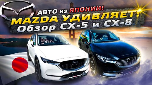 Обзор Mazda CX5 и CX8 на правом. Эти авто меня УДИВИЛИ!