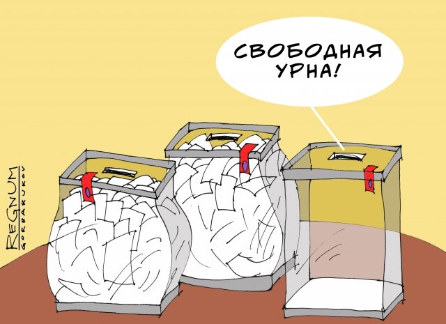    Выборы Александр Горбаруков © ИА REGNUM