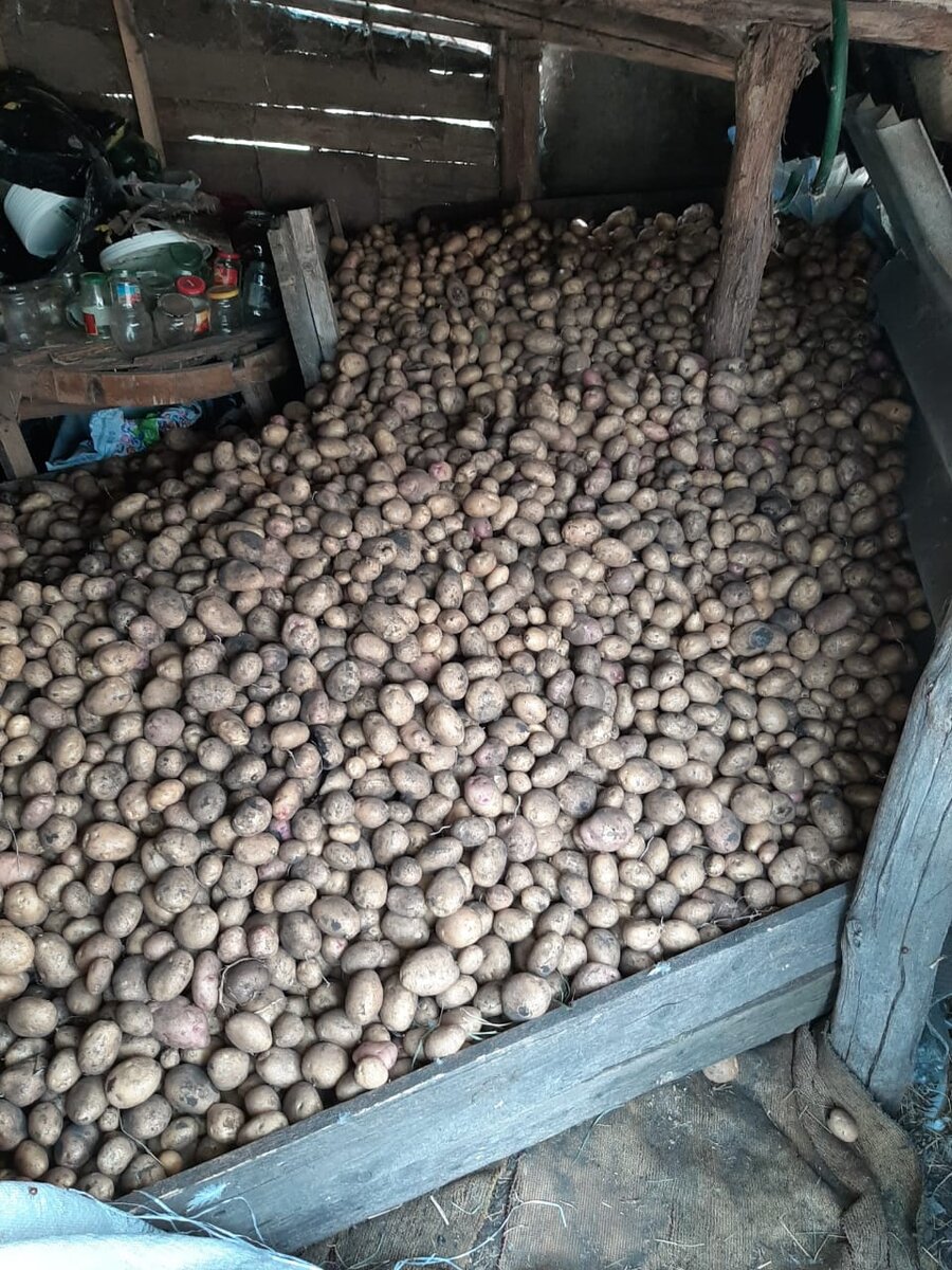 Все фото автора