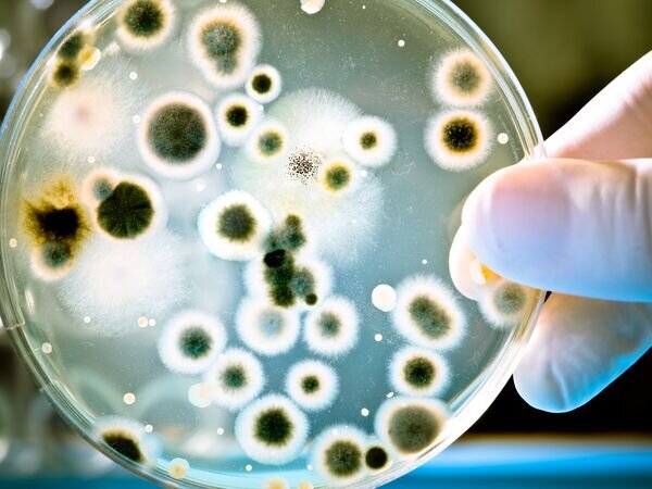   © Depositphotos.com / alexraths