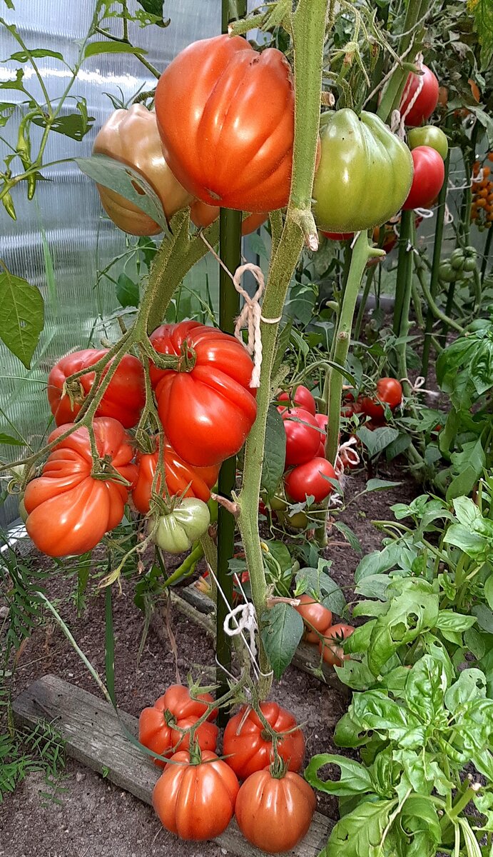 Фото автора. 