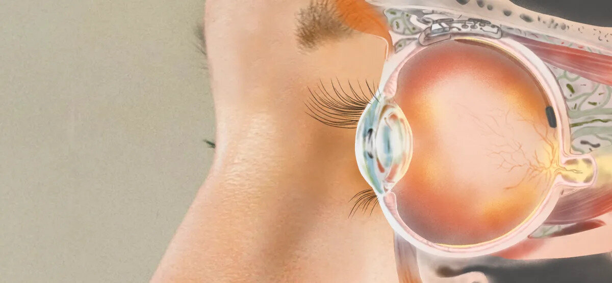 Фото взято с официального сайта Science Eye