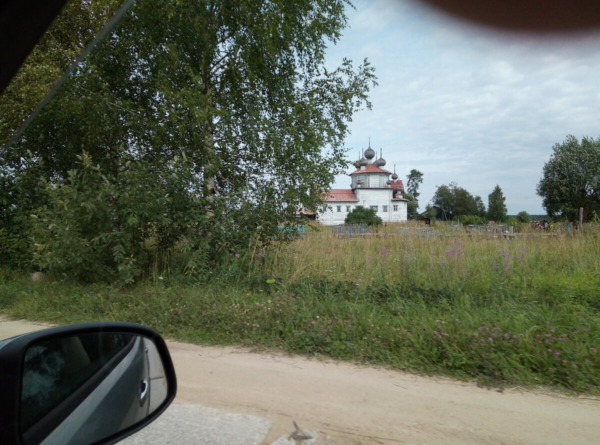 Редкое явление - цивилизация. 