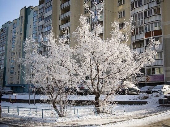     Фото Густаво Зырянова