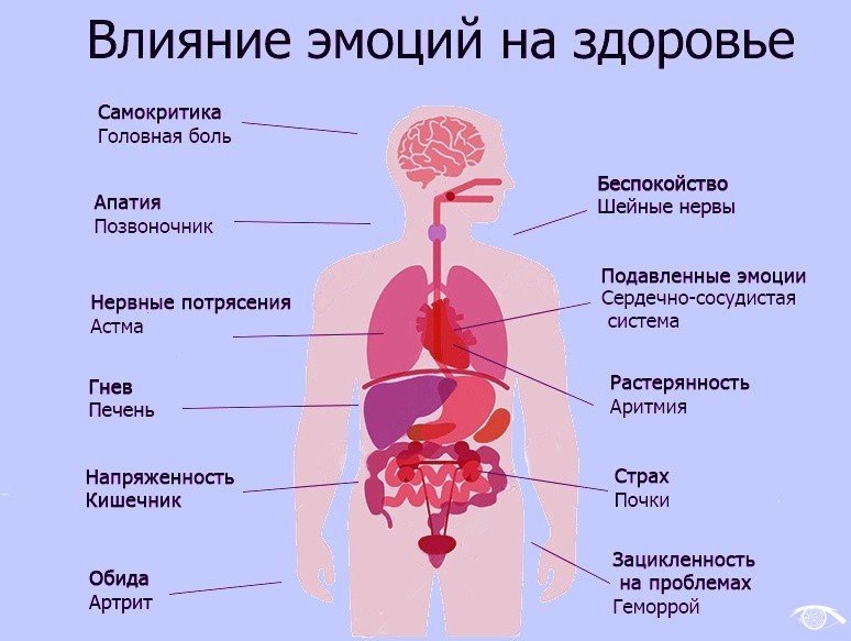 Влияние эмоций на организм 