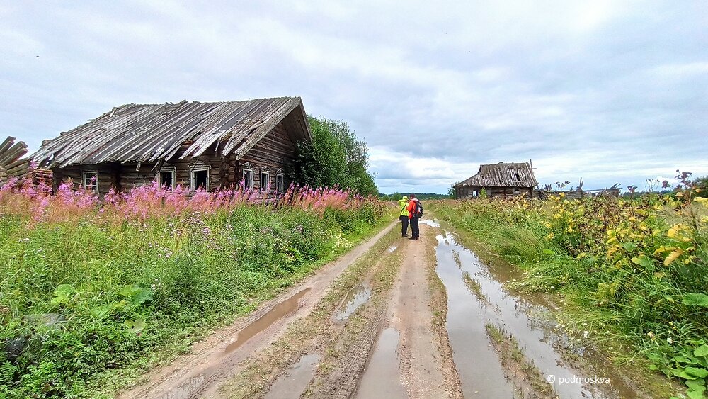 Погода в деревне на 10 дней. Деревня Кучепалда в Архангельской. Заброшенные деревни Архангельской области Онежского района. Заброшенные деревни Устьянский район Архангельская область. Кучепалда: заброшенная деревня в Архангельской.