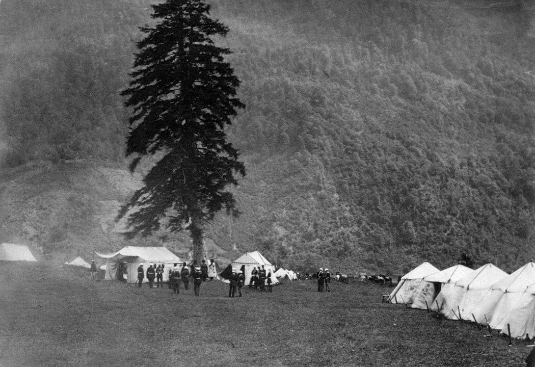 Черноморский фронтир. Посёлки Красная Поляна и Эсто-Садок | Записки ...