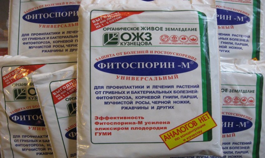 Фитоспорин на выручку придёт