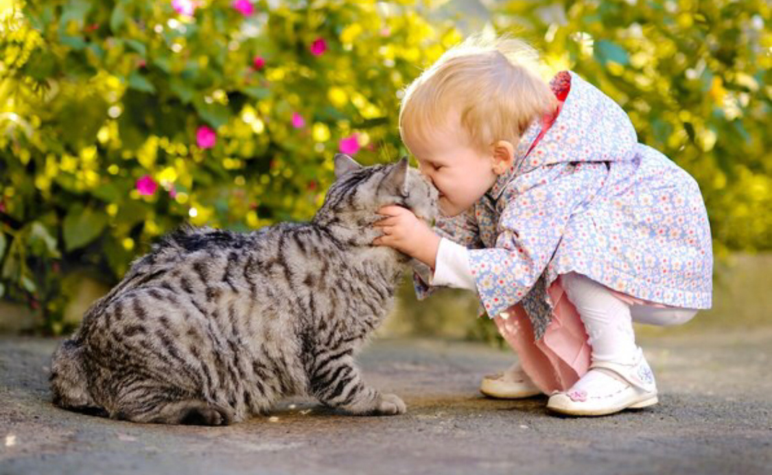 Фото: Яндекс