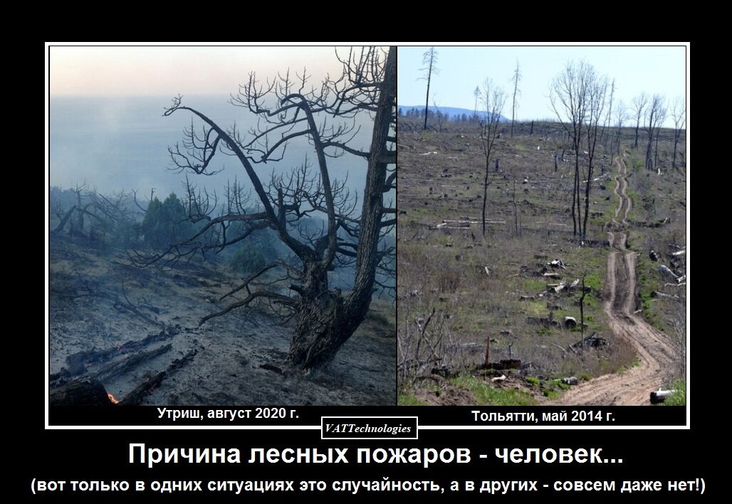 При создании картинки-коллажа использованы фото, свободно взятые в сети Интернет