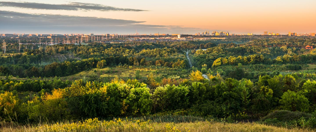 Казань вновь первая! Перенимаем опыт Канады