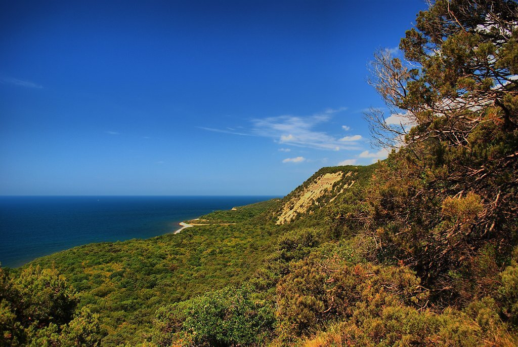 Парк утриш. Утриш в анапе. Утриш достопримечательности. Мыс сукко анапа. Утриш маяк памятник.