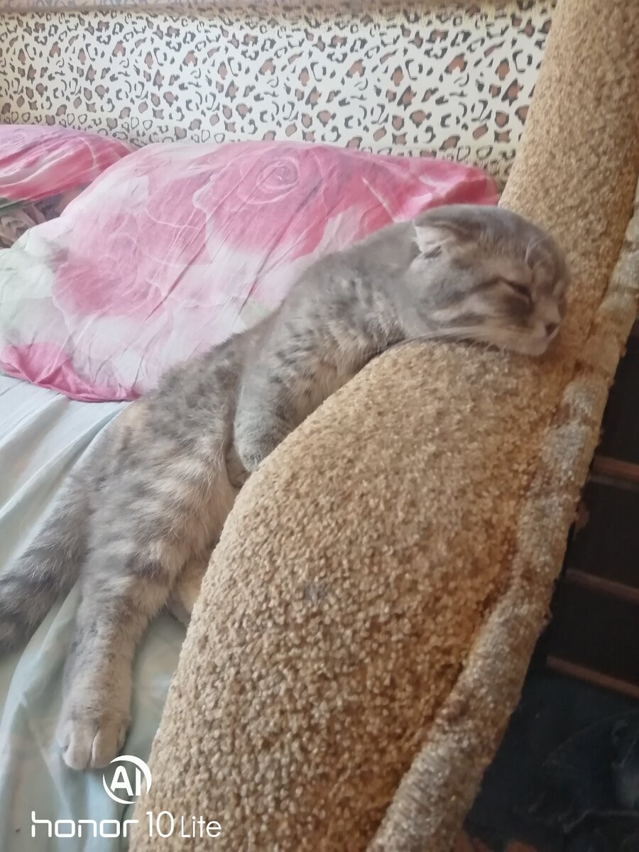 - Мне так удобно! Личное фото.