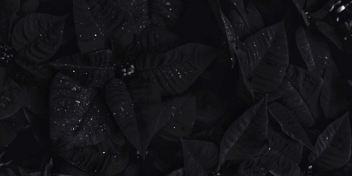 Горбун Иоанн был человеком настырным. И 
имел он способность идти напролом, сши-
бая всё на своём пути, но добиваться цели. 
Сие умение даже помогло ему занять кресло 
крупного чиновника в его городке. Славился он также убеждениями своими богоборческими, ибо пропагандировал антирелигиозность повсеместно. 
Однажды, заприметив юную девицу возле пруда, Иоанн тут же приблизился к ней и молвил:                                                                      «Краса, может, совокупим наши тела?». «Нет», — отвечала решительно она. Тог-
да горбун разгневался и вновь спросил, скрипя зубами:                                                                             «Ты мировоззрением кто будешь?». «Сатанистка», — ещё более 
утвердительно сказала девица, потянув руку в свою сумку. 
«Врёшь! Небось, христианские комплексы мешают предаться 
плотским утехам со мной!» — кричал оголтело чиновник, од-
новременно хватая её за ягодицы и груди. Но тут же красавица вырвалась, сделала два шага назад и наставила пистолет на 
горбуна. 
«Если бы у меня были христианские комплексы, то 
дала бы тебе из жалости». 
Вдохновение:
«Не делайте попыток сексуального сближения, если 
только не получаете приглашающий сигнал». Пятое Сатанин-
ское Правило, Сатанинская Библия