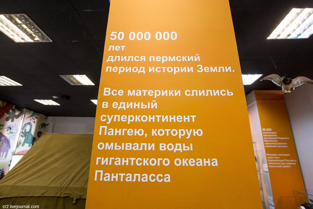Пермский период. Музей пермских древностей, Пермь (ещё 1 фото)