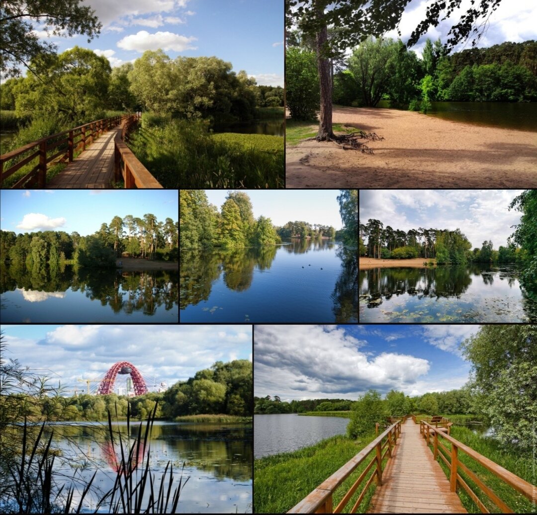 Серебряный бор