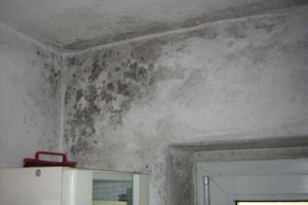 Изображение: r.zbp.ru/630x420/80/00/918461.jza1fj.avs.b4.8c.jpg