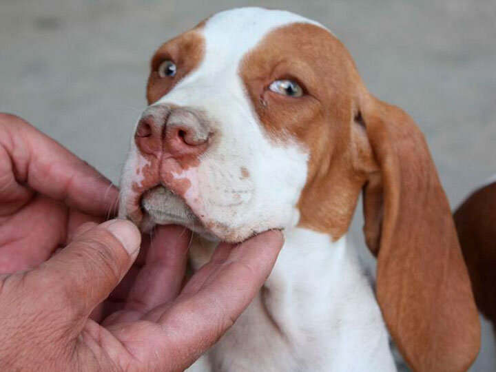 Фото из общедоступных источников