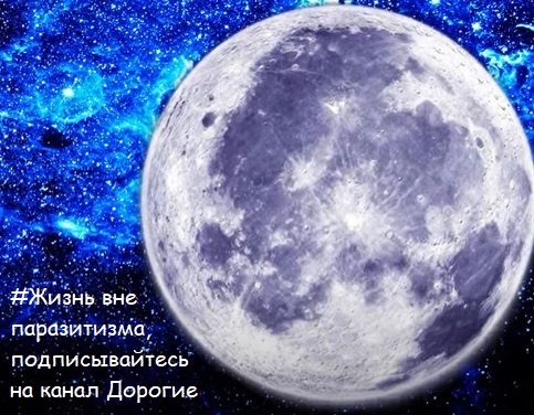 Сентябрь начинается на высокоэнергетической ноте, с полнолуния, устанавливая месяц повышенной интенсивности случайностей и появлению многих новых вещей. 