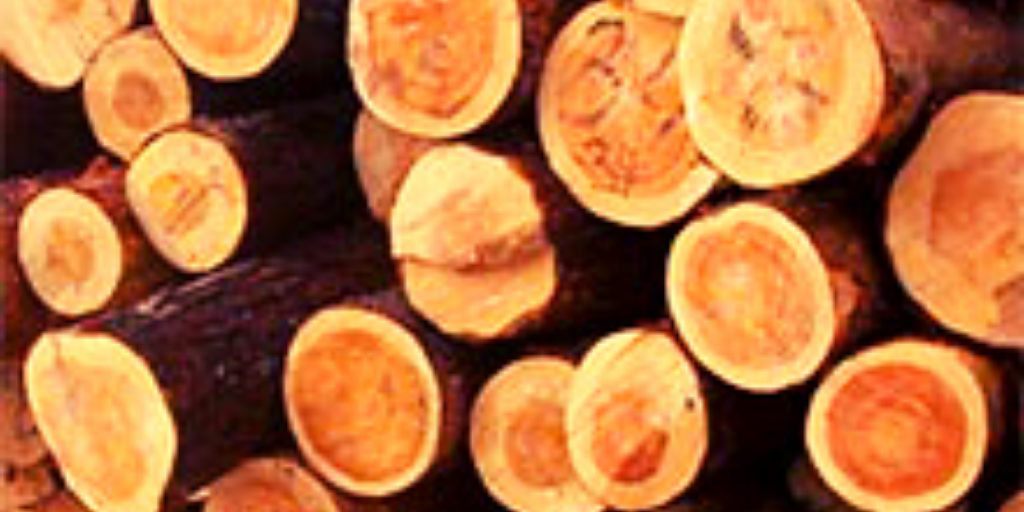 СТОПКА БРЕВЕН