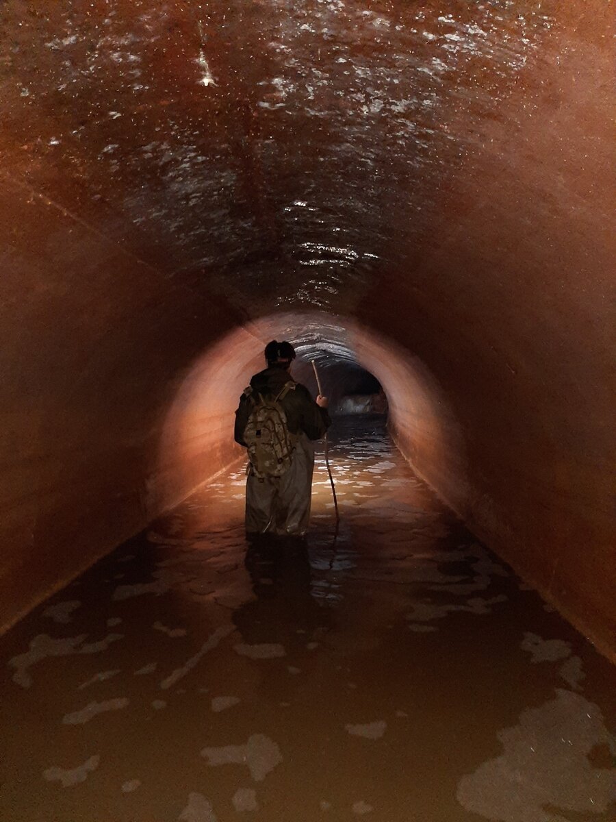 -2
